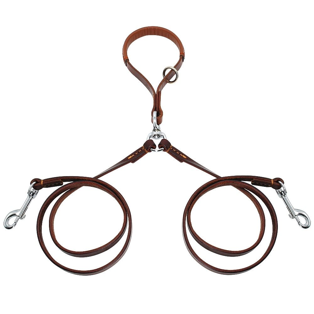 2-Way Dog Leash – Walk Two Dogs, One Handle