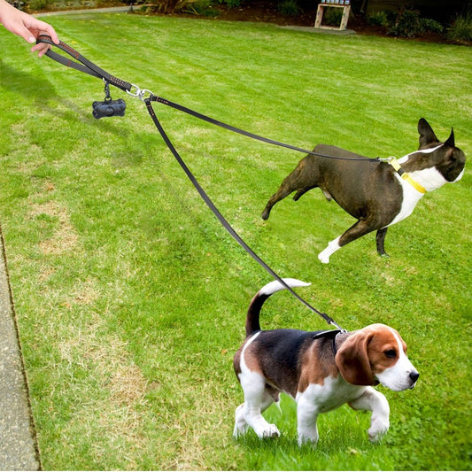 2-Way Dog Leash – Walk Two Dogs, One Handle