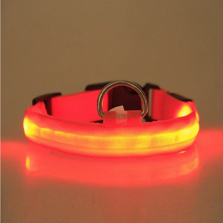 Glow-In-The-Dark LED Safety Halo Collar