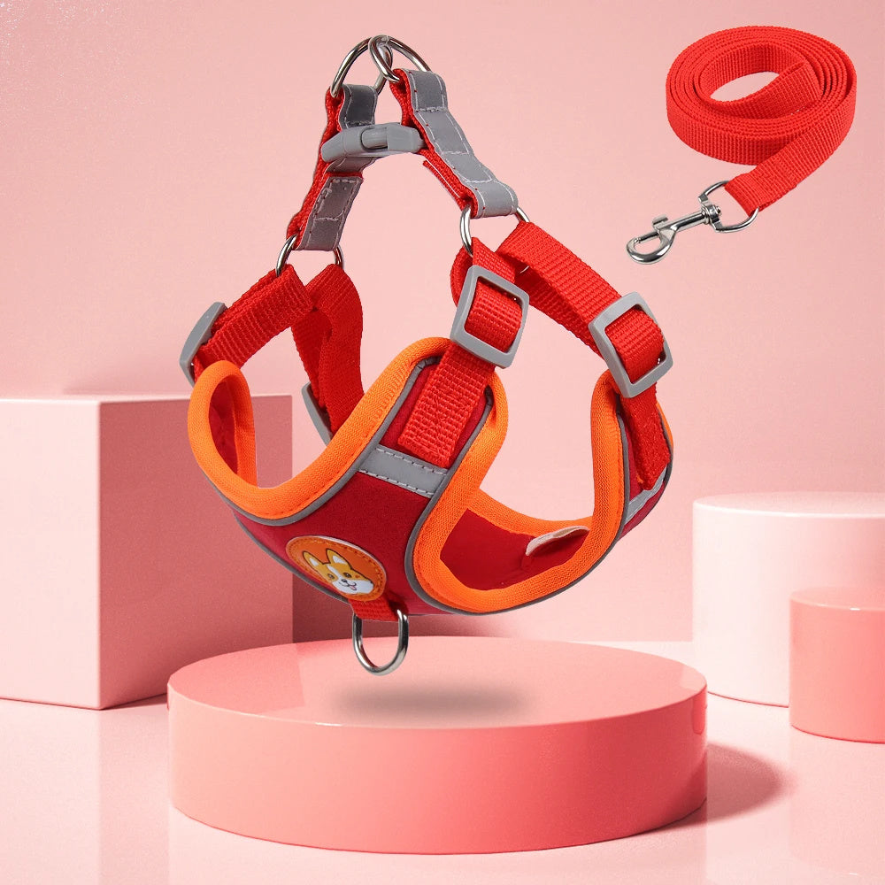 Reflective Harness and Leash Set for Safe Puppy Walking