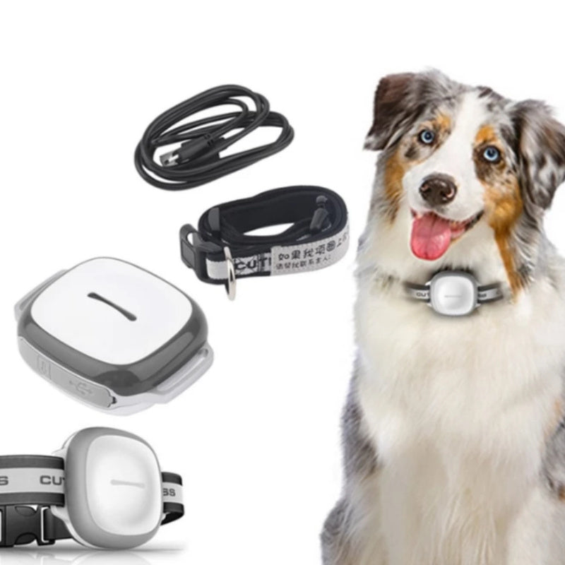 Collared Pet Tracker for Dogs – GPS Locator Device