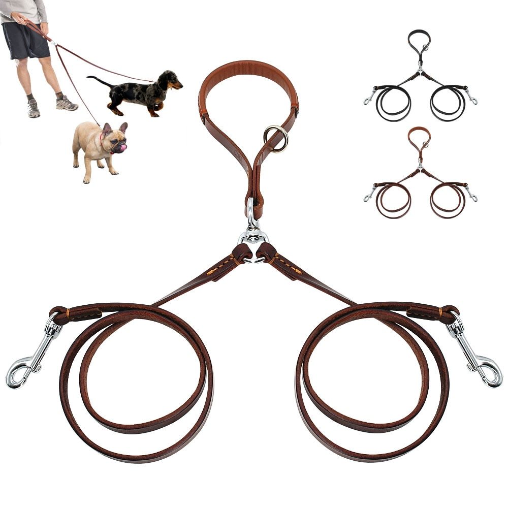 2-Way Dog Leash – Walk Two Dogs, One Handle