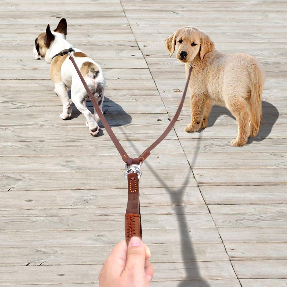2-Way Dog Leash – Walk Two Dogs, One Handle