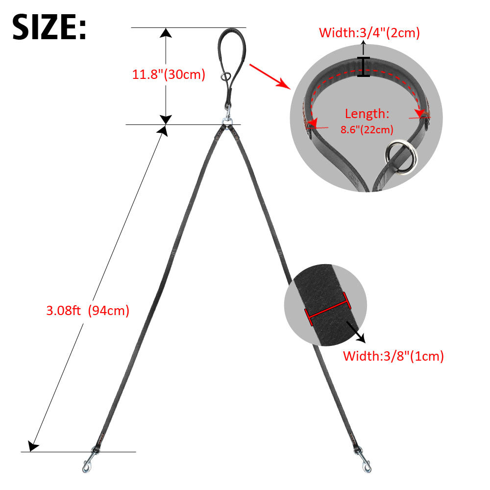 2-Way Dog Leash – Walk Two Dogs, One Handle