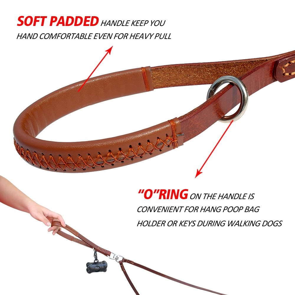 2-Way Dog Leash – Walk Two Dogs, One Handle