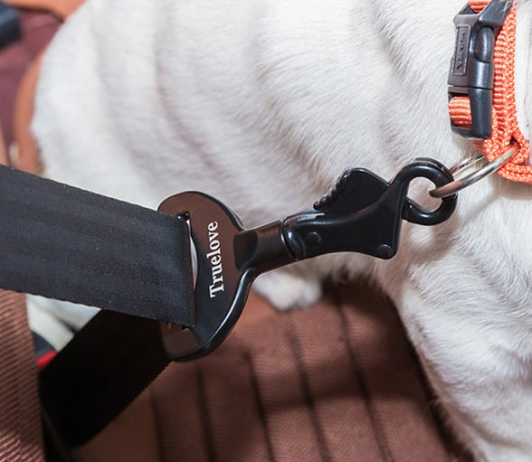 Travel Safety Buckle