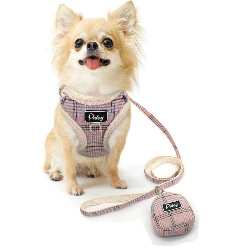 Cute Puppy Dog Leash