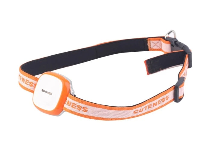 Collared Pet Tracker for Dogs – GPS Locator Device