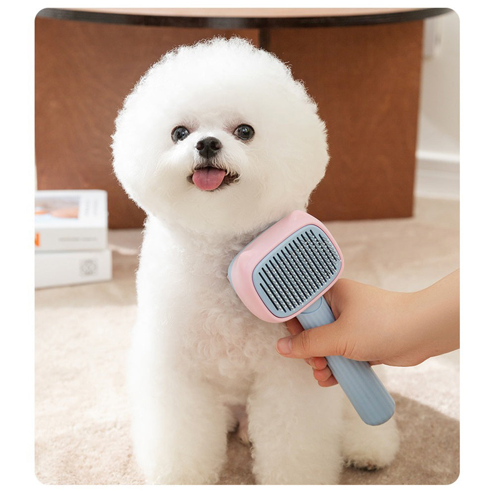 Grooming Brush to Reduce Shedding on All Breeds