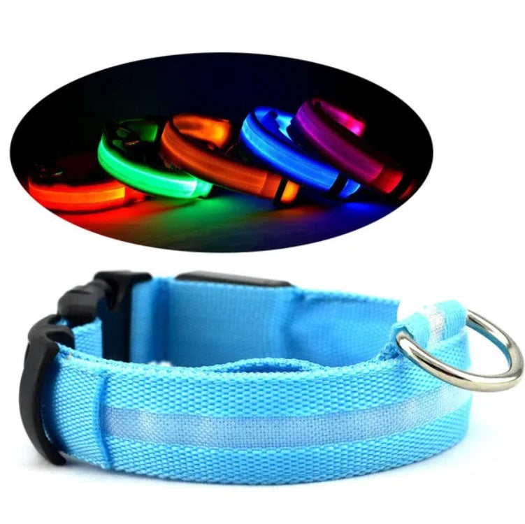 Glow-In-The-Dark LED Safety Halo Collar