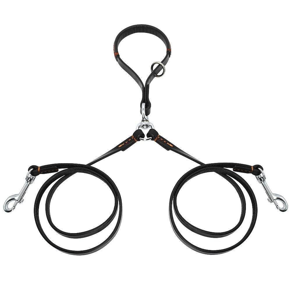2-Way Dog Leash – Walk Two Dogs, One Handle
