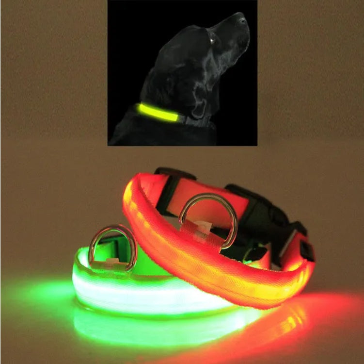 Glow-In-The-Dark LED Safety Halo Collar
