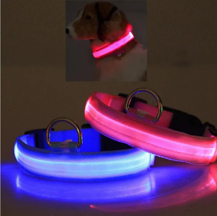 Glow-In-The-Dark LED Safety Halo Collar