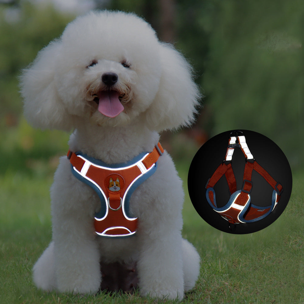 Reflective Harness and Leash Set  for Safe Puppy Walking