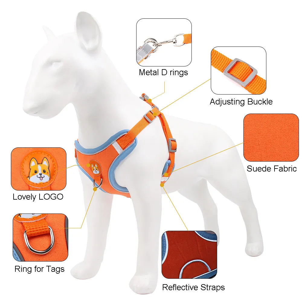 Reflective Harness and Leash Set  for Safe Puppy Walking