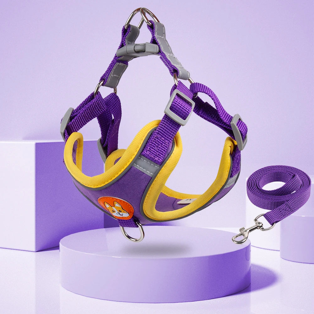 Reflective Harness and Leash Set  for Safe Puppy Walking