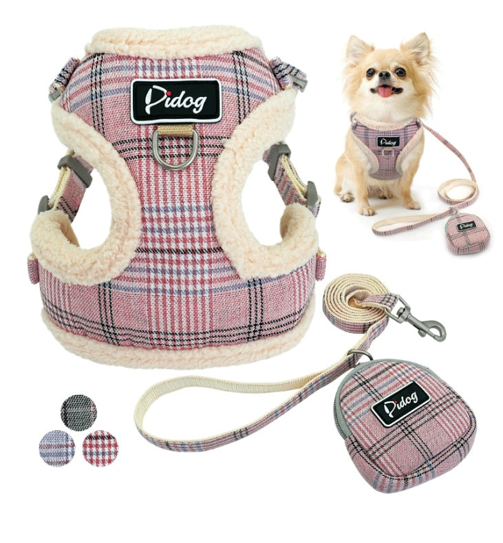 Cute Puppy Dog Leash