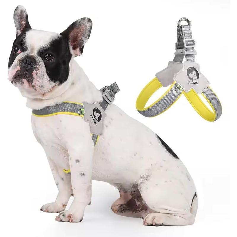 No-Pull Adjustable Pet Harness with Reflective Leather Leash Set