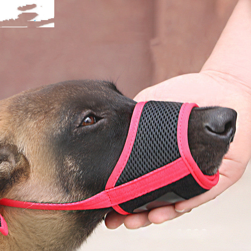 Dog Mouth Guard to Prevent Unsafe Eating During Outdoor Adventures